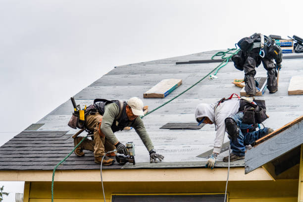 Professional Gutter Installation technician working in Paris, IL
